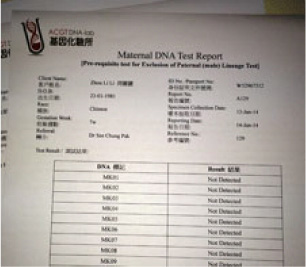 報告查詢